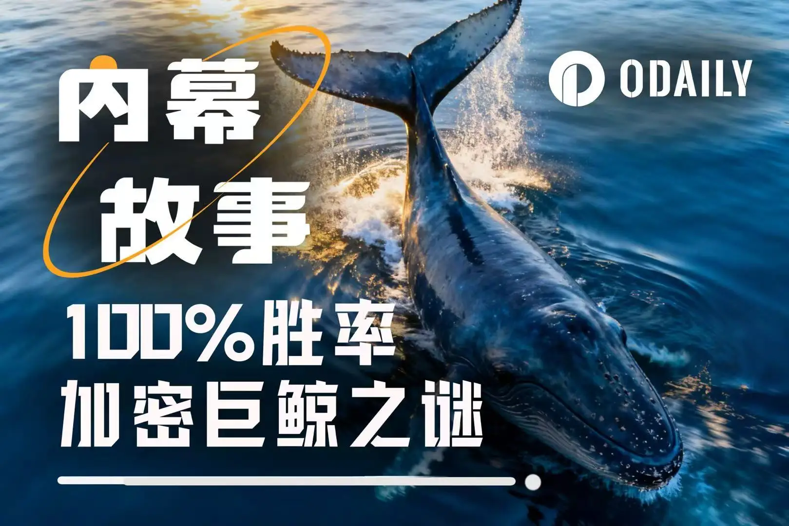 某巨鲸10天12连胜获利超千万，与特朗普关系成谜？