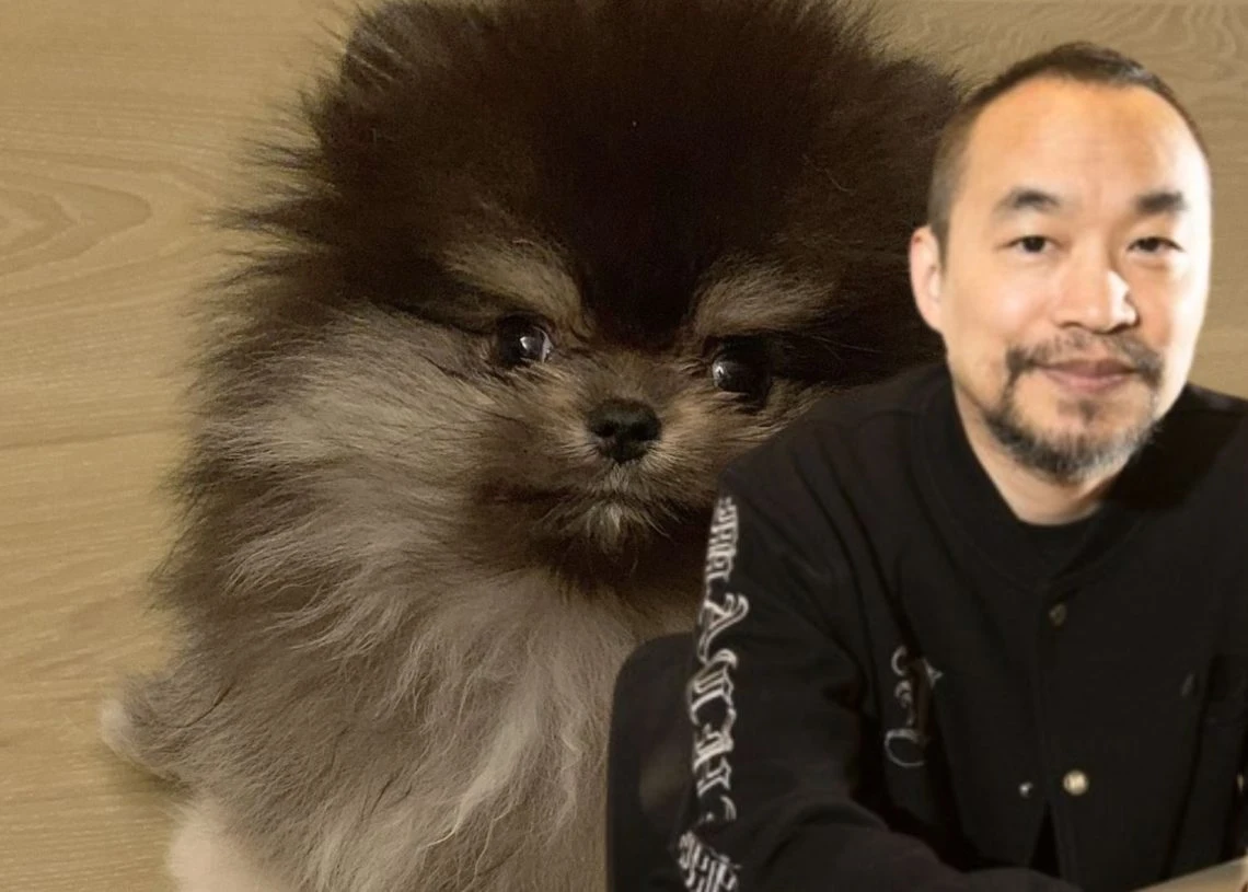 麻吉大哥再遭清算！47天从浮盈4484万到仅剩1718美元，杠杆交易的巨大风险