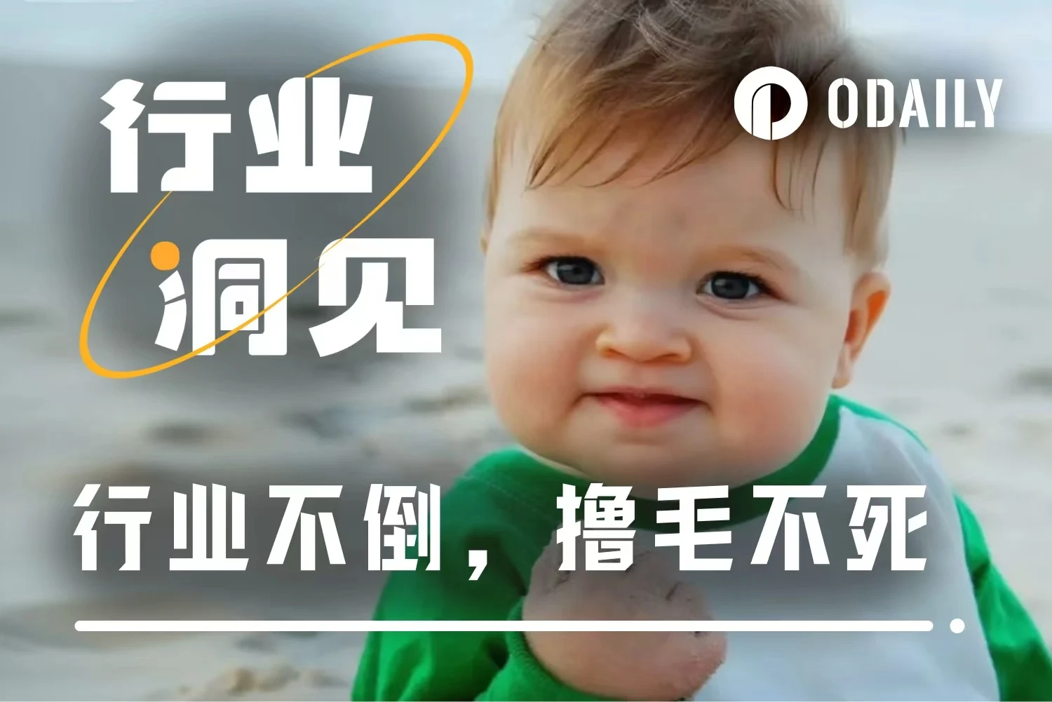 2025撸毛年度总结：从全民淘金到集体退潮，收益骤减真相揭秘