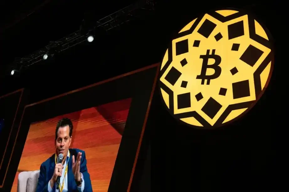 特朗普掀起加密货币热潮，企业兴衰背后究竟藏着啥秘密？