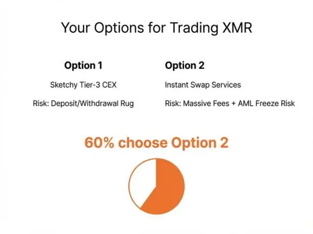 价值千亿美元即时兑换行业揭秘：门罗币价格困局真相