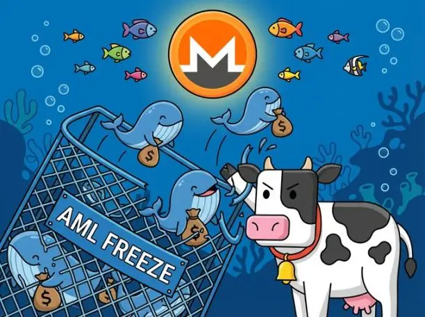 价值千亿美元即时兑换行业揭秘：门罗币价格困局真相