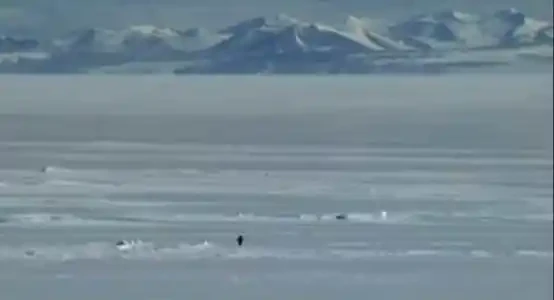 Binance Alpha多久没上线Solana meme币？这次上线的$PENGUIN有故事